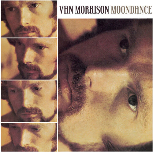VAN MORRISON 'MOONDANCE' 3LP - DELUXE - Image 2