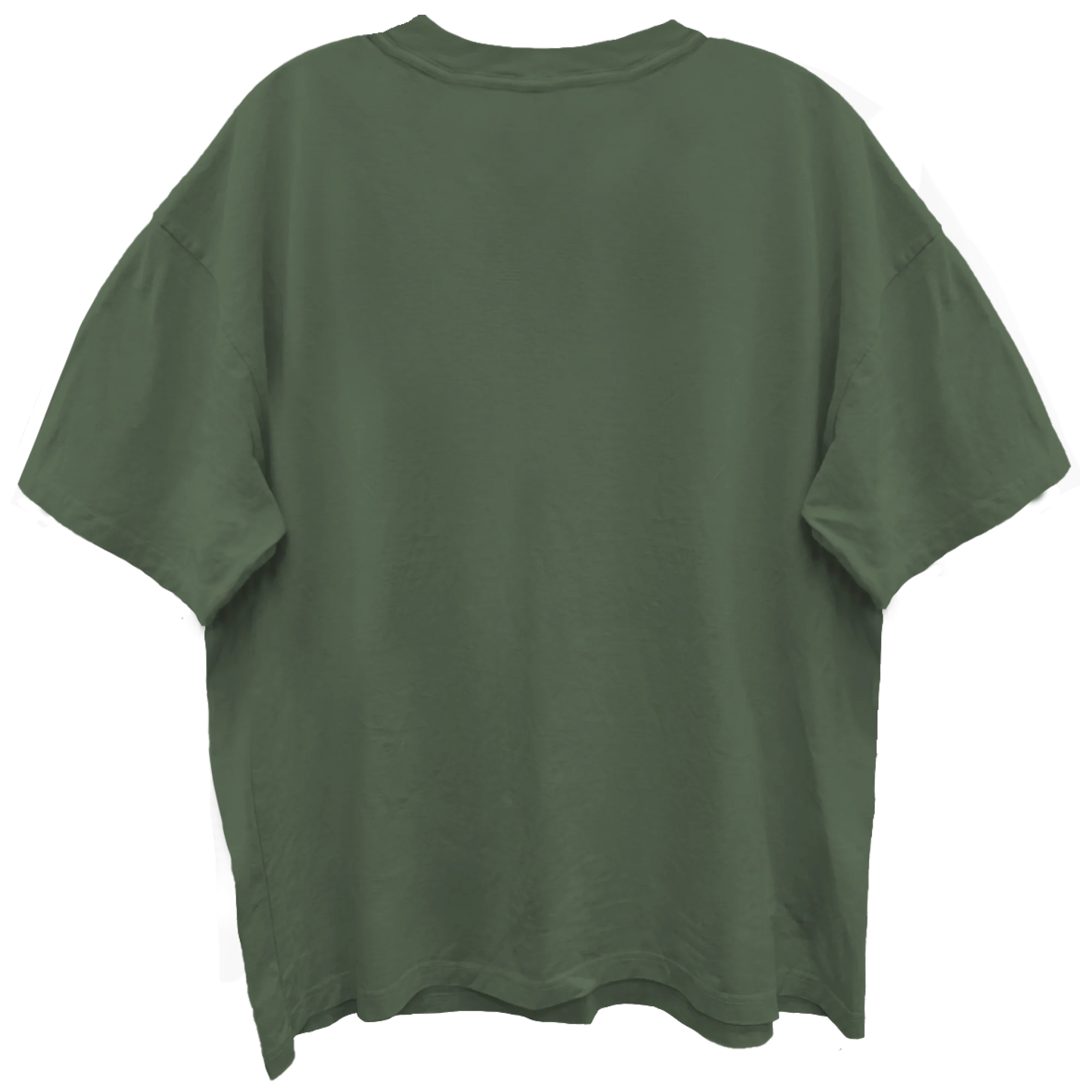 ZZ TOP ELEVATION SKULL ART OLIVE ENYME WASH T-SHIRT/GIANT VINTAGE - Image 2